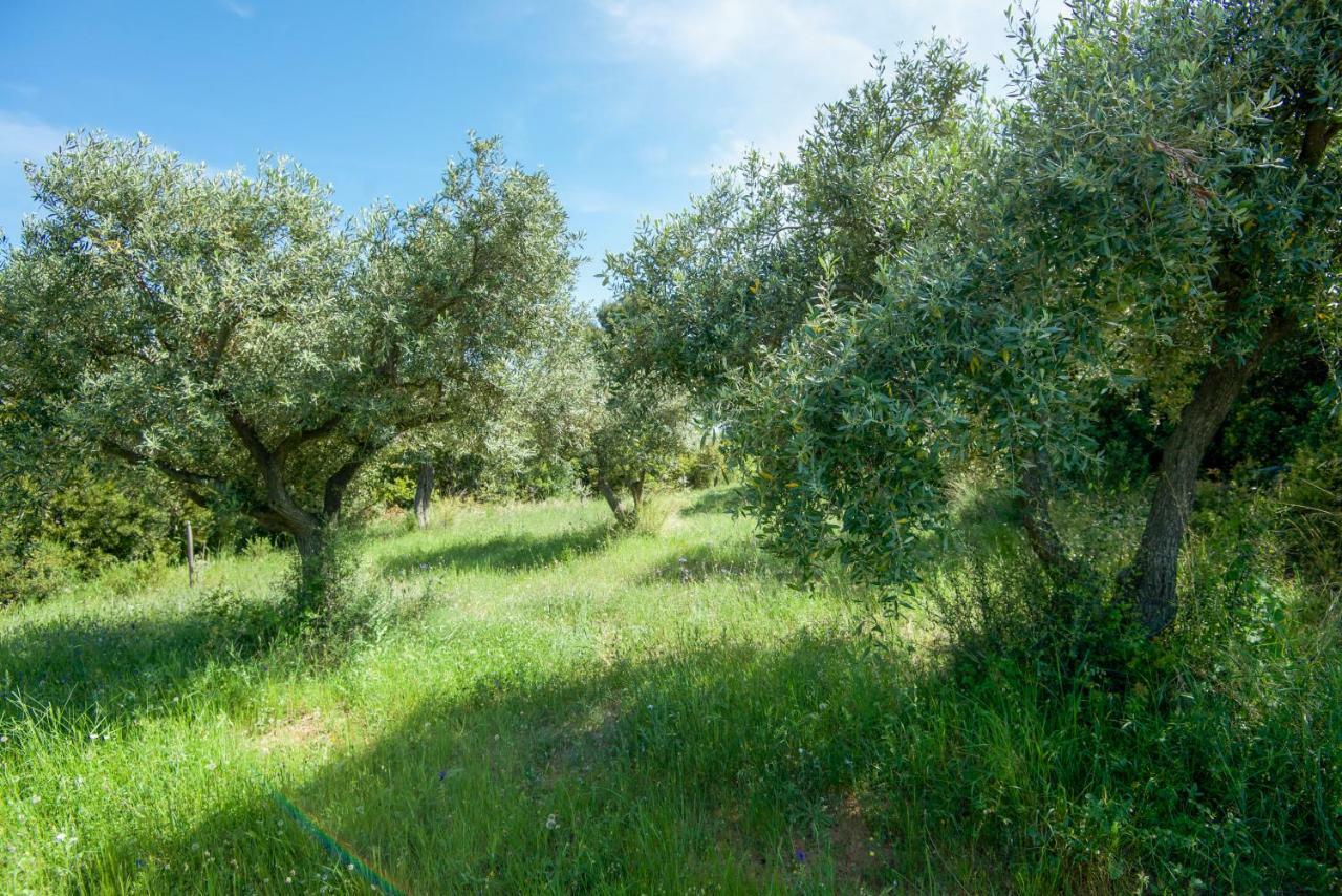 Vila Avaton Farm Uranopoli Exteriér fotografie